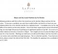 Mayor and City Council Positions Up for Election