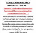 Snow Policy 