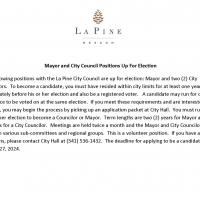 Mayor and City Council Positions Up for Election